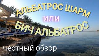 ALBATROS SHARM RESORT EX. BEACH ALBATROS обзор отеля.