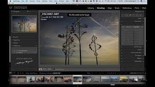 How to Move Lightroom to a New Computer