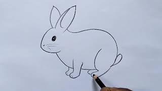 how to draw rabbit drawing easy step by step@Aarav Drawing Creative