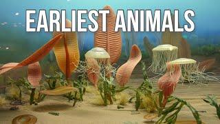 Precambrian Creatures: The First Animals