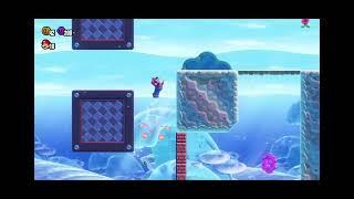 Super Mario Bros. Wonder  Petal Isles Dolphin Kick II Amazing Mario Runs on Level by CatToady