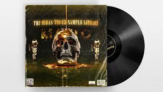 [Free] Travis Scott Sample Pack 2022 "The Midas Touch" | Don Toliver Loop Kit