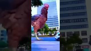 Chicken Surprise For Kid  #shorts #viral #trending #fun #shortsviral