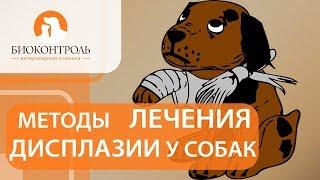 Дисплазия у собак. @ Диагностика и способы лечения дисплазии у собак. Биоконтроль.