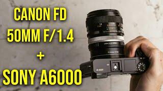 Canon FD 50mm f/1.4 Lens + Sony a6000 | Vintage Look For Under $100!