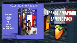 W4DE , RIVALZ & TNK MUSIC  || FRANCE Amapiano Sample Pack 2024 || "BONJOUE FEVER"