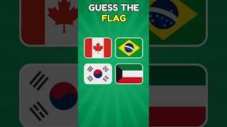 Can You Guess These Flags ️‍ Only True Geography Experts Can! #shorts