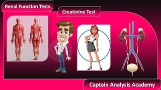 E12 . Creatinine test اسرار لاول مرة عن الكرياتنين واسباب ارتفاعه وانخفاضه وايه علاقته بالبليروبين