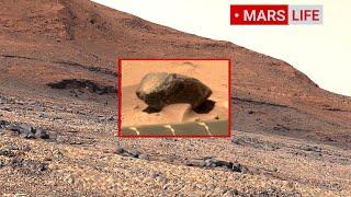 NASA's Mars Rover Sent Super Incredible Footage Of Mars' Surface! Curiosity' Rover Mars In 4K