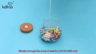 Kiditos 2023 New Arrival -  Light Up Ocean Terrarium DIY Toy Kit