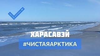 Чистая Арктика: Харасавэй