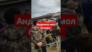 андижон мол бозори.