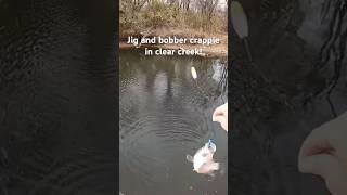 Bobber down! Nice black crappie! #follow #crappie #crappiefishing #fish #shorts