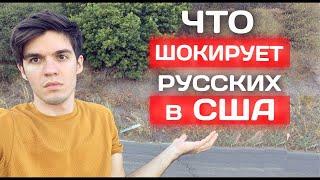 Шокирующие факты о США #shorts