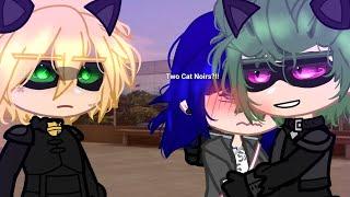 "Two Cat Noirs?!!"// Miraculous// meme// GC//