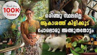 ഒരിഞ്ചു സ്ഥലമില്ല | ആകാശത്ത് കിളിക്കൂട് പോലൊരു അത്ഭുതതോട്ടം | Creative DIY Garden