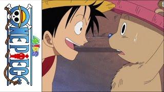 One Piece (4Kids Dub) Luffy asks Chopper to join the Crew