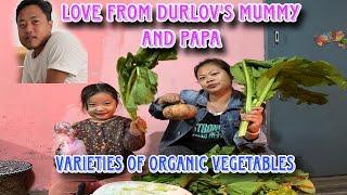 Varieties of organic vegetables || thank you so much aunty and uncle &@durlovRX100