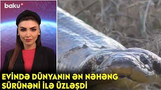 Evində dünyanın ən nəhəng sürünəni ilə üzləşdi - Maraqlı anlar | BAKU TV