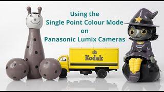 Single Point Colour Mode on Panasonic Lumix Cameras