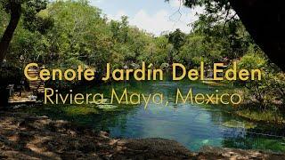 Cenote Jardín Del Eden: A Hidden Oasis in the Riviera Maya