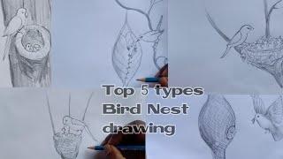 Top 5 types Bird Nest  drawing for kids // very easy steps