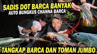 GILA!! CHANNA BARCA JUMBO DI KOLAM TERPAL DAN TOMAN MONSTER