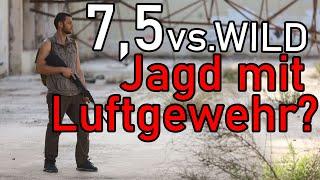 Jagen im Notfall mit dem freien Luftgewehr? Teil 1 – Welches Kaliber 4,5 oder 5,5 mm?