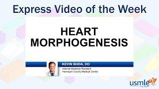 Heart Morphogenesis