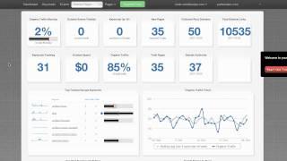 SEO Dashboard by SERPs.com