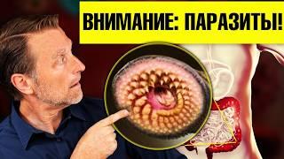 7 признаков наличия паразитов. Натуральные средства от паразитов