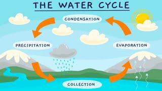 WATER CYCLE| The water cycle process | Easy science video