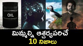 Top 10 Unknown Facts in Telugu |Interesting and Amazing Facts | Part 206| Minute Stuff