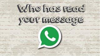 How to check who has read your message in WhatsApp group