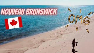Road trip dans les Maritimes : Kouchibouguac et les plages du Nouveau Brunswick