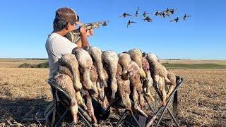 INSANE Canada Duck Hunting Opening Day! (74 BIRDS)