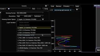 Learning Baselight Look #8 - Understanding Baselight Look's Colour Management Framework