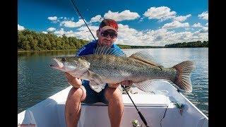 Ribolov smuđa,leto 2017 . Zander,судак fishing