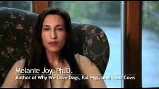 Why We Love Dogs Eat Pigs and Wear Cows 2/2