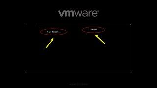 How to fix the VMware Workstation 'EFI Network Time out' issue