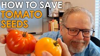 How to Save Tomato Seeds - Two EASY Methods || Black Gumbo