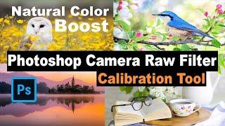 PHOTOSHOP CAMERA RAW FILTER: Natural Color Boost (CALIBRATION TOOL)