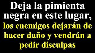 Deja la pimienta negra en este lugar, los enemigos dejarán de hacer daño y vendrán a pedir disculpas