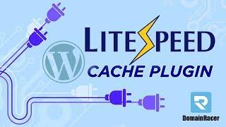 LiteSpeed Cache Plugin Installation For WordPress: 2024