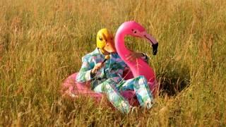 Hartz 4 und der Tag gehört dir -  der zweite Partyhit von Ingo ohne Flamingo
