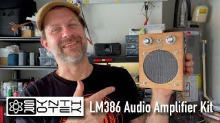 Synthrotek LM386 Audio Amplifier Kit (DIY cigar box amp)