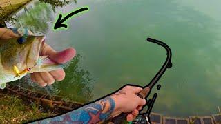 NO WAY these pond BASS will eat my HAND MADE lures!