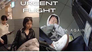 Urgent Flight Back to Korea *visa good news*