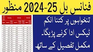 Income Tax For Salary Person | Latest Pakistani News | Finance 2024-25