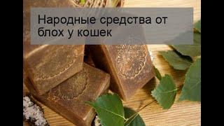 Народные средства от блох у кошек